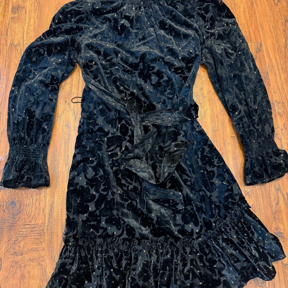 Alex Marie Black Dress with Gold Accents